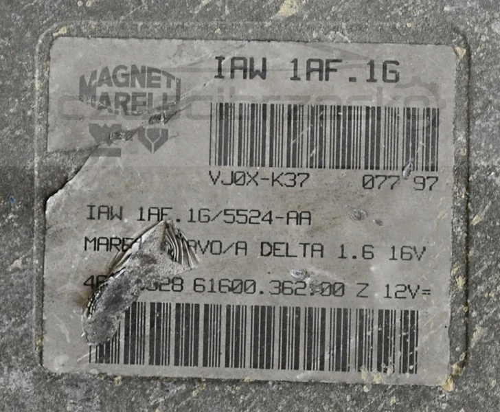 5111844707_1