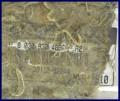 5068805096_1