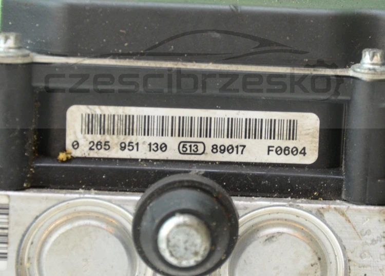 7256796438_4
