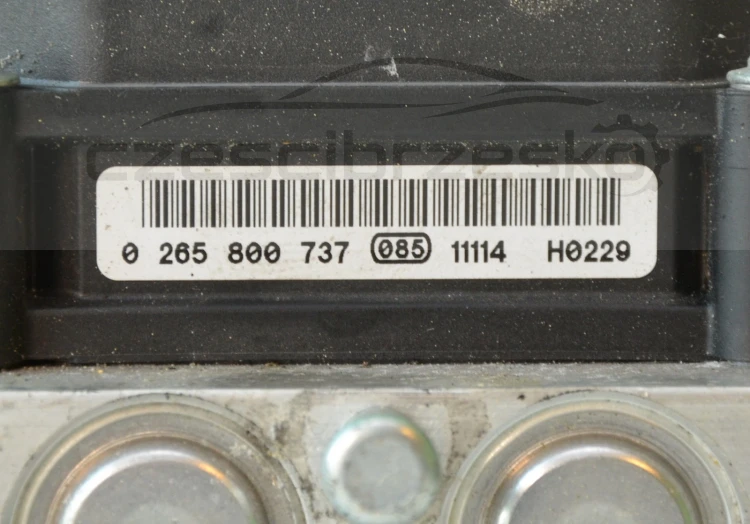 12011cz3.jpg