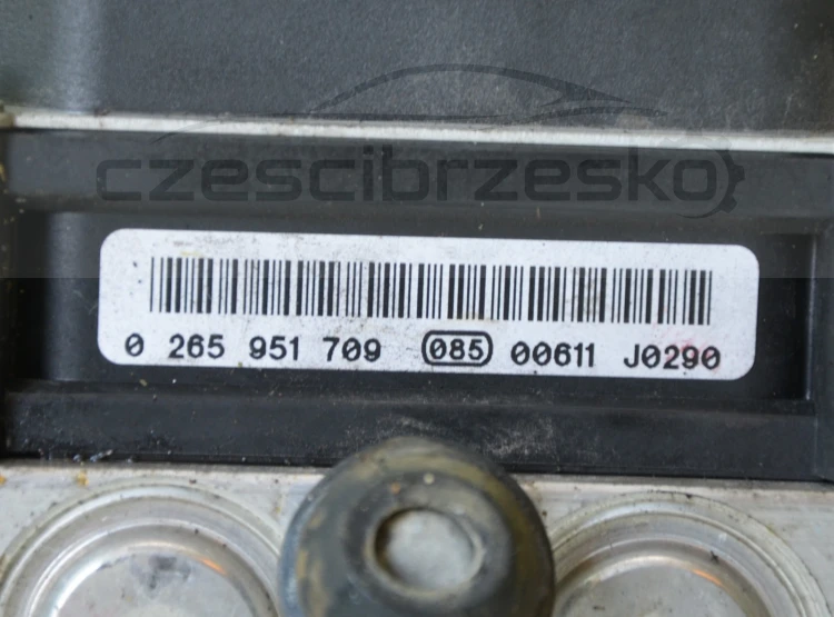 12023cz5.jpg