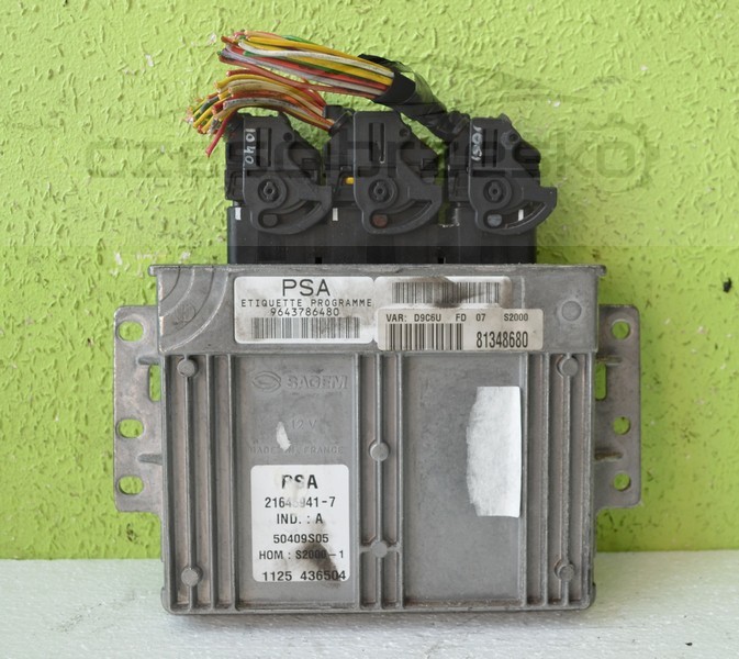 5037383813