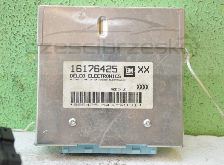 7164858187_1