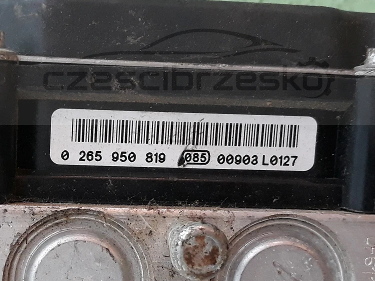 12279cz3.jpg